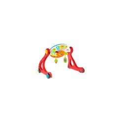 Vista rápida Grow and Walk Gym